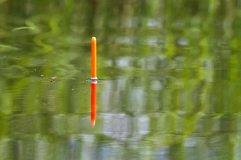 The tip of the fishing float sits vertically in the water of the lake Stock Photos