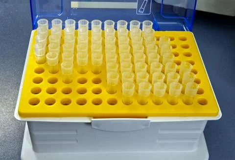 Tip for micropipette 0.1 ml display in a display box. Stock-Fotos