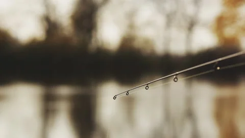 The tip of the spinning when catching predatory fish. Fishing on a wobbler. Stock Footage 97472978