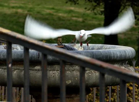 ON TIP TOES Stock Photos