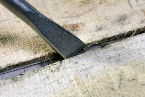 The tip of the tool for pulling out nails or a wide screwdriver is inserted i Stock Photos