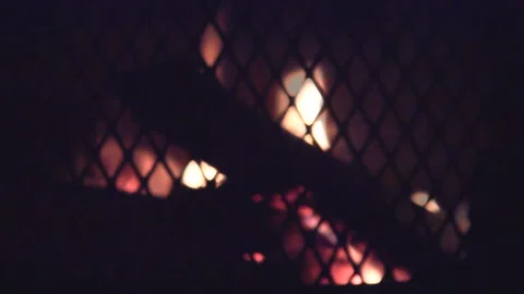 Tipi fire crackling in the Dyfi Valley Forest of Wales, United Kingdom Stock Footage 130350167