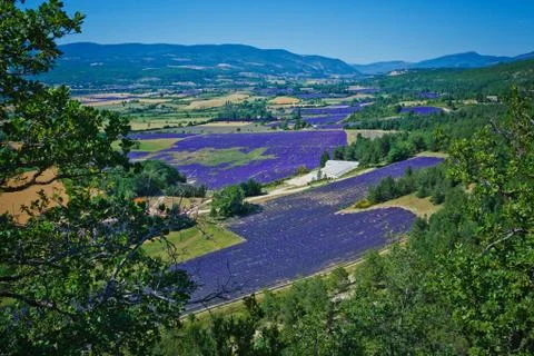 Tipical Provencal landscape Stock-Fotos