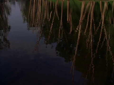 Tippecanoe river Stock Footage 86750986