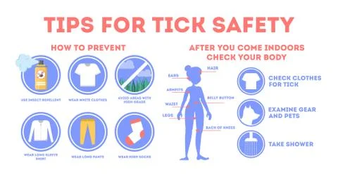 Tips for tick safety infographic. How to protect skin Stock Illustration