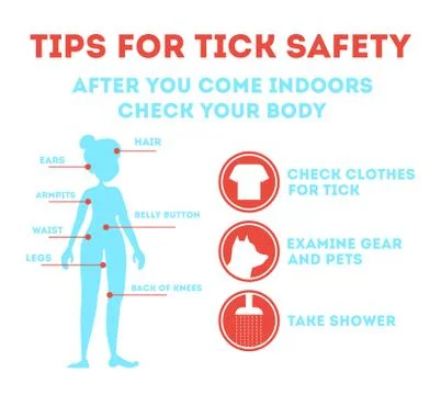 Tips for tick safety infographic. How to protect skin Stock Illustration
