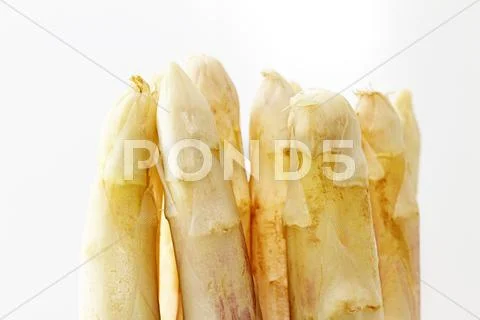 Tips of white asparagus Stock Photos