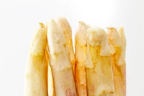 Tips of white asparagus Stock Photos