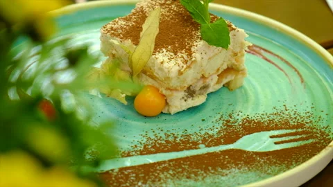 Tiramisu cake on a plate. Selective focus. Stock Footage 220778830