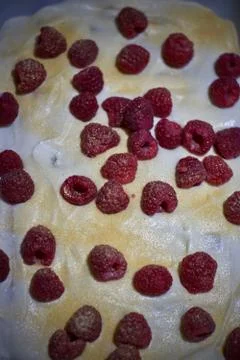 Tiramisu with raspberry Stock Photos