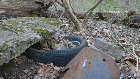 Tire alone on the forest ground environment medium pollution Stock Footage 127188362