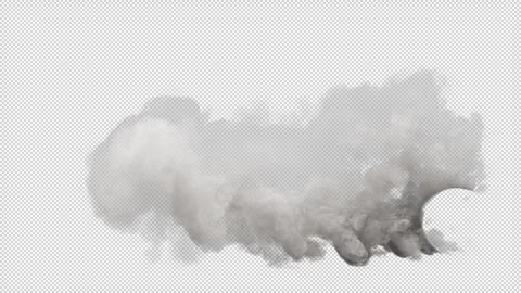 Tire Burnout. 動画素材 278682594