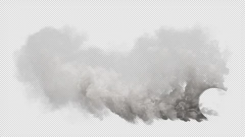 Tire Burnout. 動画素材 278690165