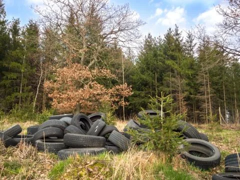 Tire dump next to forest Stock Photos