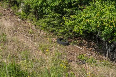 Tire dumped in a ditch Stock Photos