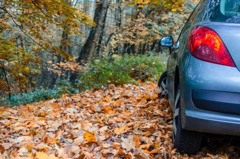 Tire in Leaves Stock Photos