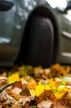 Tire in Leaves Stock Photos