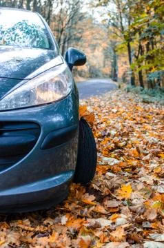 Tire in Leaves Stock Photos