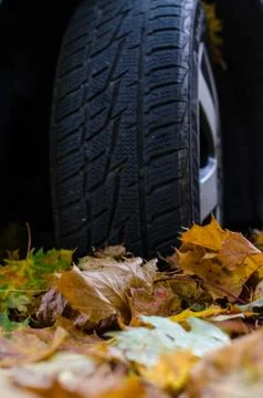 Tire in Leaves Stock Photos