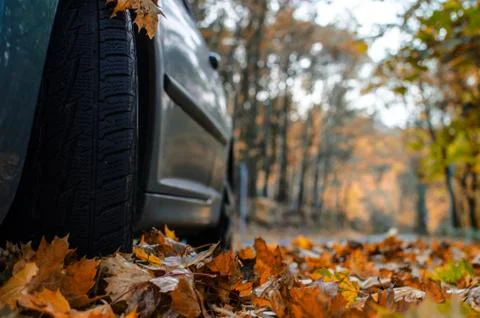 Tire in Leaves Stock Photos