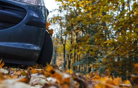 Tire in Leaves Stock Photos