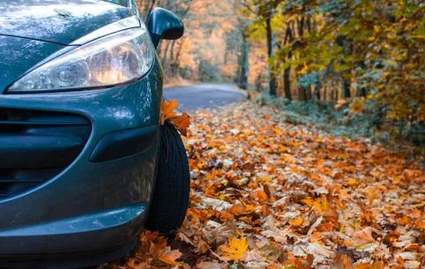Tire in Leaves Stock Photos