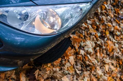 Tire in Leaves Stock Photos