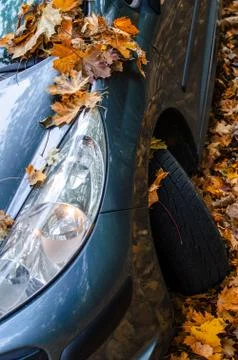Tire in Leaves Stock Photos