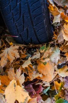 Tire in Leaves Stock Photos