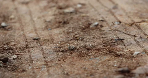 Tire Marks on Mud 動画素材 335554819
