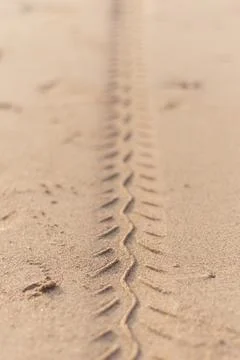 Tire marks Stock Photos