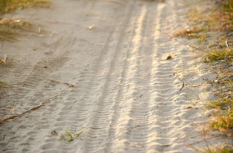 Tire marks on sandy surface with copy space. Green and dry grass grows. Stock Photos