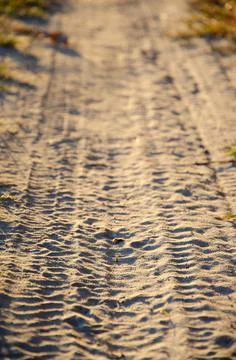 Tire marks on sandy surface with copy space. Green and dry grass grows. Stock Photos