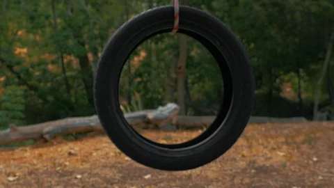 Tire rope swing Stock-Footage 127464122