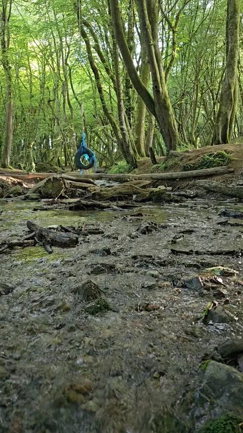 A tire rope swing with a trickling stream in the foreground Video stock 243370743