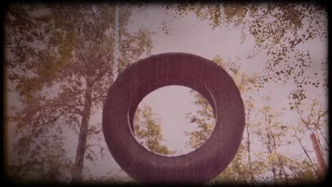 Tire swing blowing in the wind under a tree in the summer. Archival video. Stock Footage 104766062