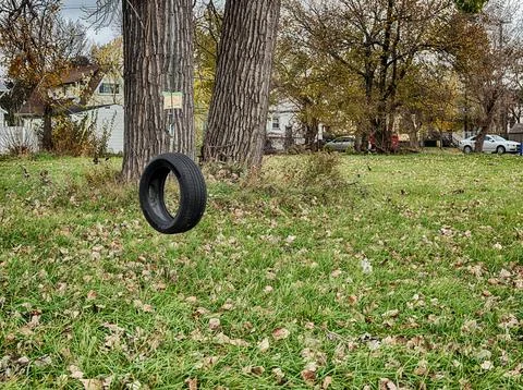 Tire Swing In Empty Lot Stock Photos
