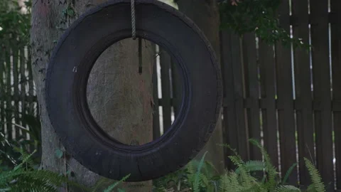 A Tire Swing Stock Footage 172274548