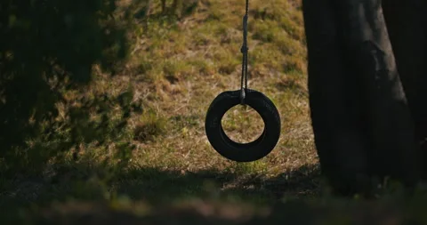 Tire Swing Hanging From Tree 스톡 동영상 335196430