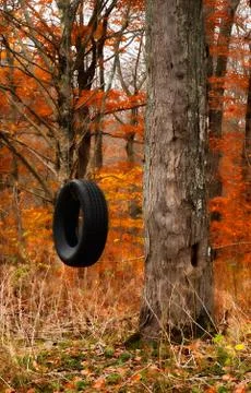 Tire swing Stock Photos