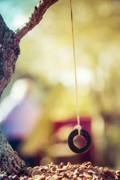 Tire Swing 库存照片