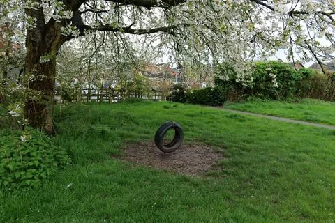 Tire swing Stock Photos