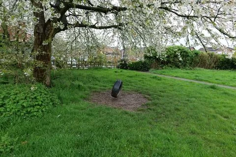 Tire swing Stock Photos