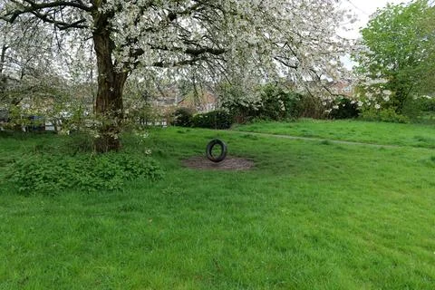 Tire swing Stock Photos