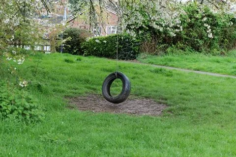 Tire Swing Stock Photos
