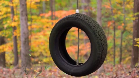 Tire swing swinging autumn woods Stock Footage