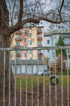 Tire swing tree Stock Photos