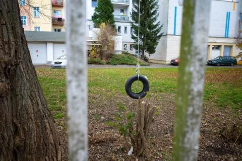 Tire swing tree Stock Photos