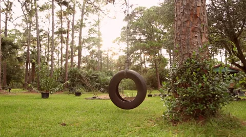 Tire swing wide Vídeos de archivo 35947668