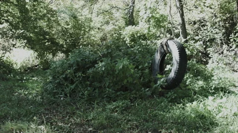Tire Swing in the Woods Stock Footage 53141756